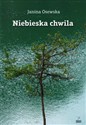 Niebieska chwila - Polish Bookstore USA