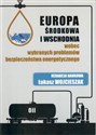 Europa Środkowa i Wschodnia wobec wybranych problemów bezpieczeństwa energetycznego in polish