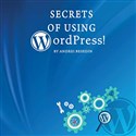 Secrets of Using Wordpress!  books in polish