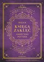 Nieoficjalna Wielka Księga Zaklęć Harry'ego Pottera. Kompletny przewodnik po zaklęciach dla czarodzi  buy polish books in Usa