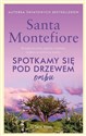 Spotkamy się pod drzewem ombu  - Santa Montefiore