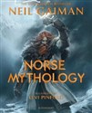 Norse Mythology Illustrated  books in polish