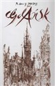 Gdańsk w rysunkach Gdansk in drawings online polish bookstore