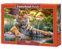 Puzzle Sumatran Tiger 500 to buy in Canada