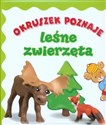 Okruszek poznaje leśne zwierzęta pl online bookstore