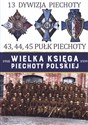 13 Dywizja Piechoty 43,44,45 Pułk Piechoty polish usa