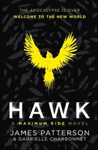 Hawk A Maximum Ride Novel polish books in canada