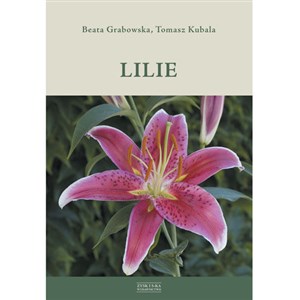 Lilie pl online bookstore