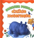 Okruszek poznaje dzikie zwierzęta  