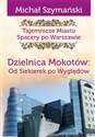 Tajemnicze miasto 10 Dzielnica Mokotów Od Siekierek po Wyględów buy polish books in Usa