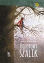 Kolorowy szalik - Polish Bookstore USA