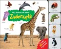 Mój słowniczek memo Zwierzęta bookstore