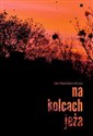 Na kolcach jeża in polish
