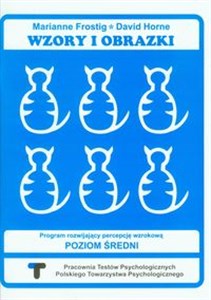 Wzory i obrazki Zeszyt ćwiczeń Program rozwijający percepcję wzrokową Poziom średni - Polish Bookstore USA