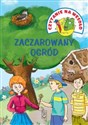 Czytanie na wesoło Zaczarowany ogród - Iwona Czarkowska