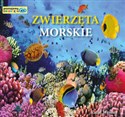 Zwierzęta morskie Poznajemy zwierzęta pl online bookstore