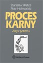 Proces karny Zarys systemu - Stanisław Waltoś, Piotr Hofmański books in polish