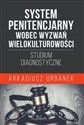 System penitencjarny wobec wyzwań wielokulturowości Studium diagnostyczne to buy in USA