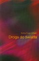 Droga do światła polish usa