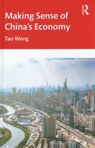 Making Sense of China's Economy  online polish bookstore