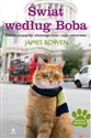 Świat według Boba Dalsze przygody ulicznego kota i jego człowieka - James Bowen in polish