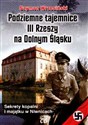 Podziemne tajemnice III Rzeszy na Dolnym Śląsku Sekrety kopalni i majątku w Niwnicach buy polish books in Usa