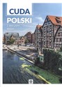 Cuda Polski. Z biegiem Wisły chicago polish bookstore