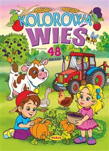 Kolorowa wieś to buy in USA