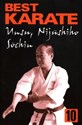 Best Karate 10 Unsu, Sochin, Nijushiho  in polish