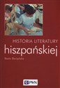 Historia literatury hiszpańskiej - Beata Baczyńska bookstore