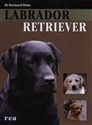 Labrador Retriever - Bernard Duke chicago polish bookstore