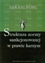 Struktura normy sankcjonowanej w prawie karnym  