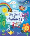 Big Book of Numbers  