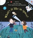 First Questions and Answers: What's it like in Space?  Bookshop