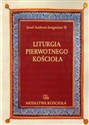 Liturgia pierwotnego Kościoła do czasów Grzegorza Wielkiego chicago polish bookstore