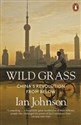 Wild Grass China's revolution from below chicago polish bookstore