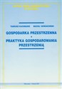 Gospodarka przestrzenna Praktyka gospodarowania przestrzenią online polish bookstore