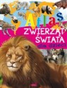 Atlas zwierząt świata dla dzieci polish usa