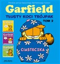 Garfield Tłusty koci trójpak Tom 2 Polish bookstore