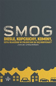 SMOG Diesle, kopciuchy, kominy, czyli dlaczego w Polsce nie da się oddychać? books in polish