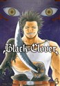 Black Clover. Tom 6 Polish bookstore