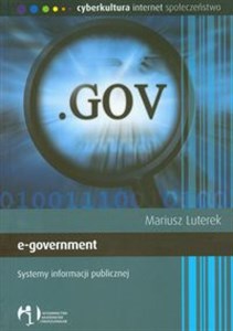 e-government Systemy informacji publicznej polish usa