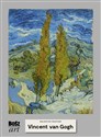 Vincent Van Gogh Malarstwo światowe pl online bookstore