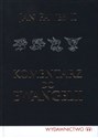 Komentarz do Ewangelii polish books in canada