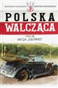 Polska Walcząca Tom 39 Akcja Główki  