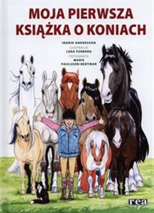 Moja pierwsza książka o koniach online polish bookstore