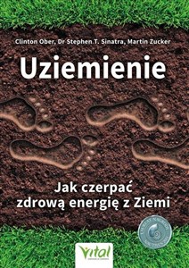 Uziemienie Jak czerpać zdrową energię z ziem  buy polish books in Usa