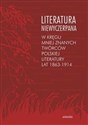 Literatura niewyczerpana W kręgu mniej znanych twórców polskiej literatury lat 1863-1914 - Opracowanie Zbiorowe