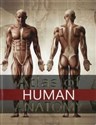 Atlas of Human Anatomy polish usa