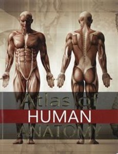 Atlas of Human Anatomy polish usa